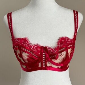 Honey Birdette Molly lace bra in scarlet. 32DD